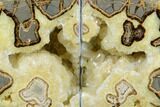 Crystal Filled Septarian Geode Bookends - Utah #184589-1
